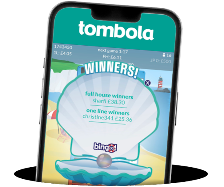 Example of bingo 80 winning page in mobile view