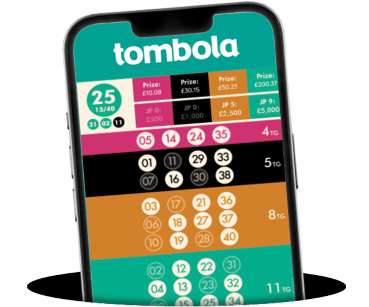 Example of bingo 40 game in mobile view