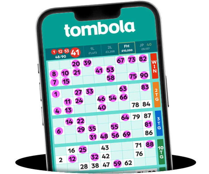 bingo 90 winners example